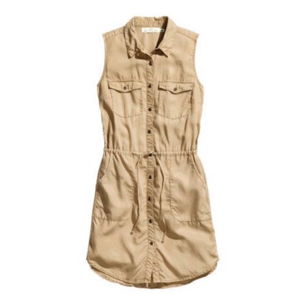Button Down Sleeveless Shirt Dress